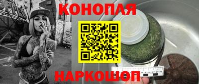 стаф Лесосибирск