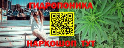 стаф Лесосибирск